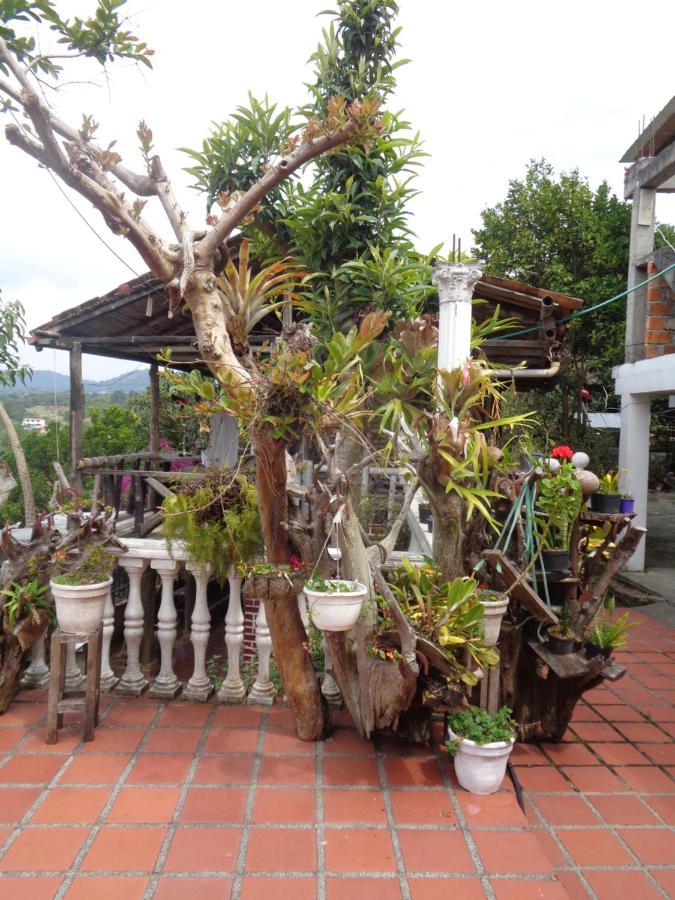 Hostal Loco Locombia San Agustín Exteriör bild